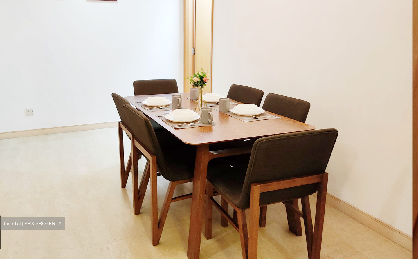 Thomson Euro-asia (D11), Condominium #540735331
